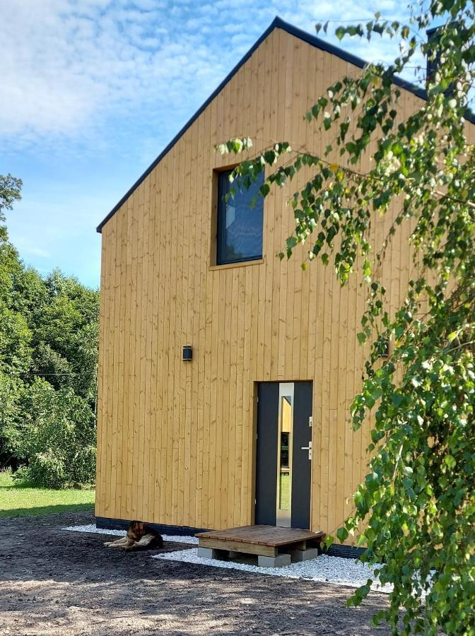 Dom Przy Lesie Wielgie Exterior foto