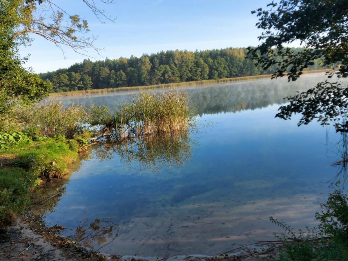 Dom Przy Lesie Wielgie Exterior foto